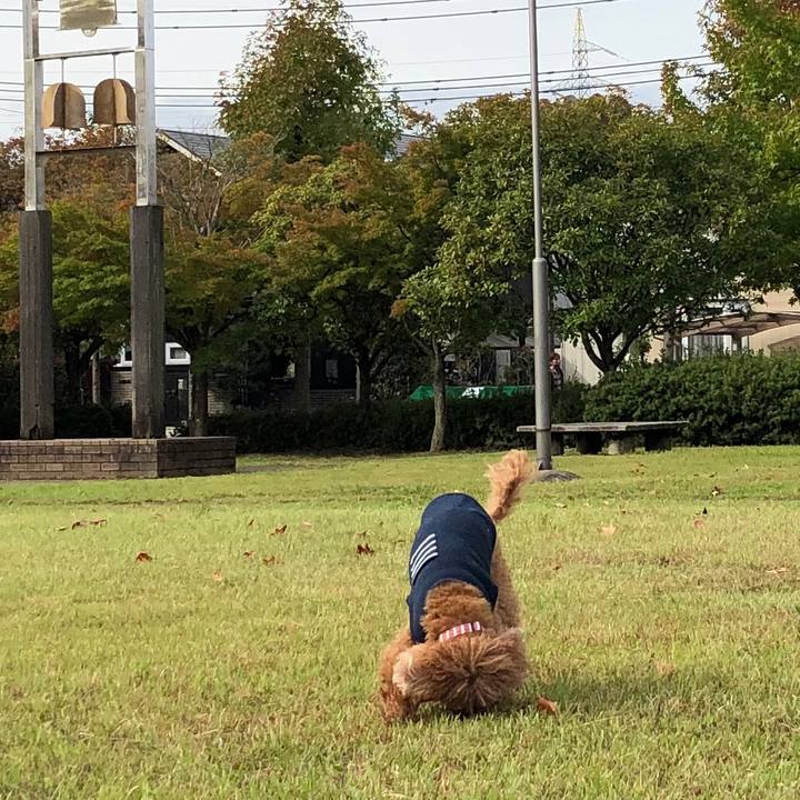 A3bed40d f586 46cb b5d6 e206152eca5f 1602205403252