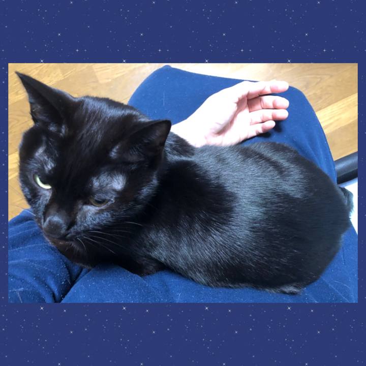 A3bedad2 8095 4b7e ba98 dd8ad3f02021 1734213615389