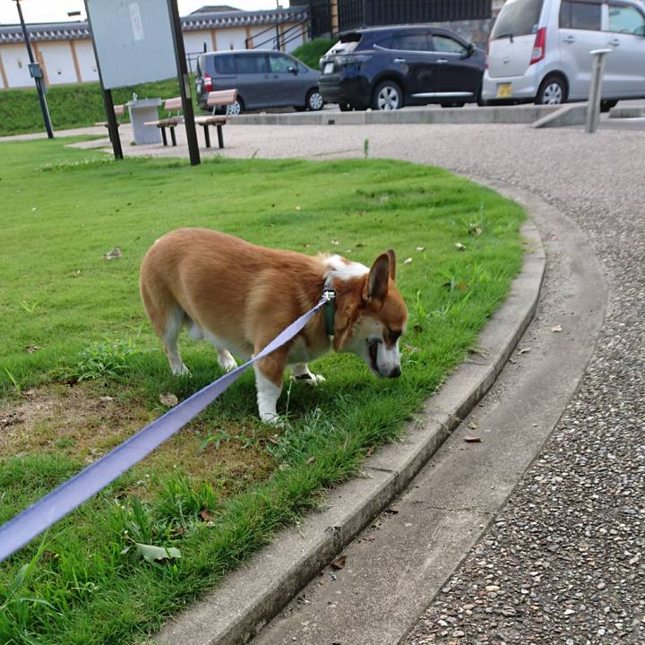 A3bf56df d73e 490e 8ae9 d9f8c65e9606 1596348983597