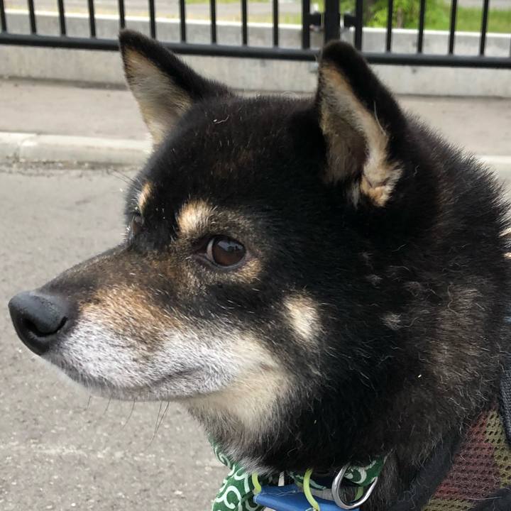 A3bf5b01 e183 4efa b475 a3fb1738407c 1528527963901