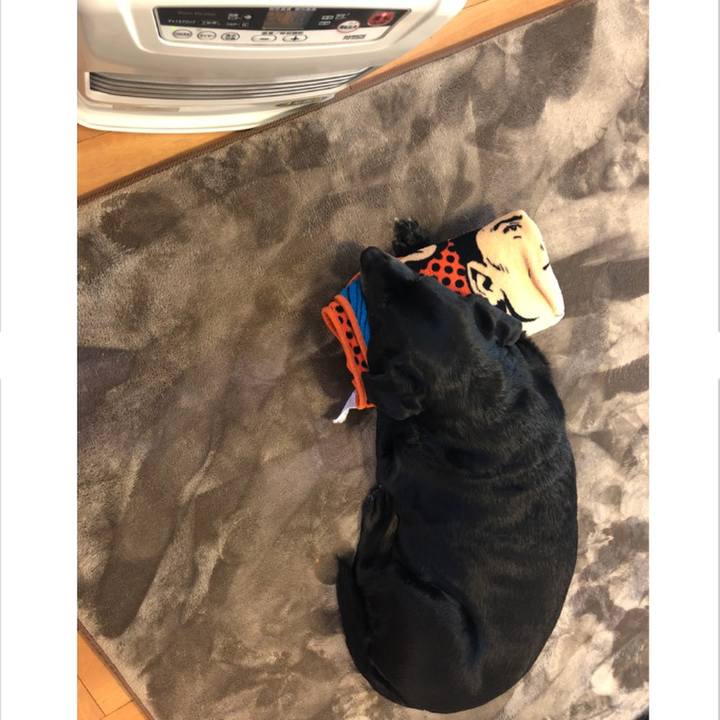 A3bf5d63 0083 48e5 a07b 98b6b8b04027 1548556165282