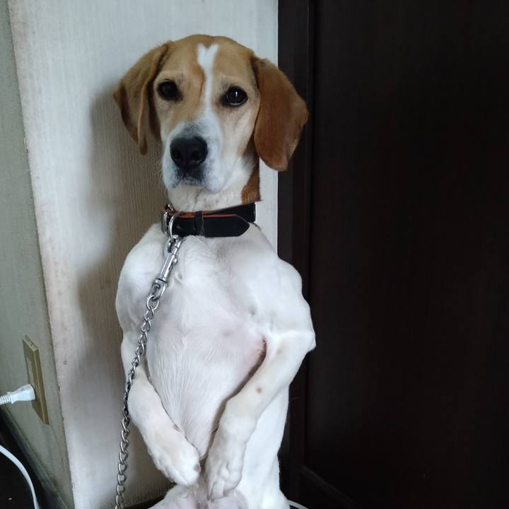 A3c02cb3 aec7 40ec 9a6c eee78e999775 1648476488566