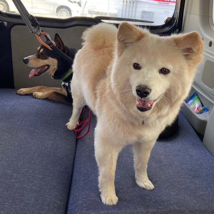 A3c03bf2 1088 4a51 ac0d 1c5de50e041d 1678096709217