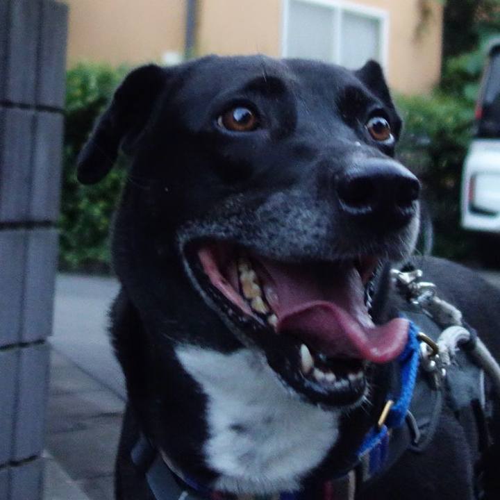 A3c0644f 8c06 44bc 8b2f 7ee1b314d188 1658748101830