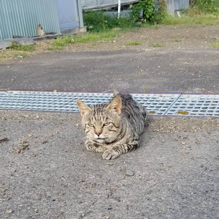 A3c06bc1 1e47 4faf a729 c8114850d293 1599228011447