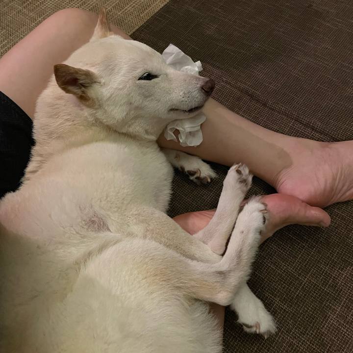 A3c0a713 b1dd 47a4 8e0e d3b0fda46491 1660579224982