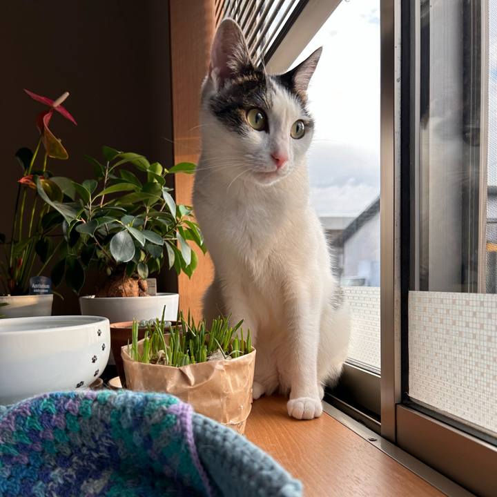 A3c0b038 1706 4a3f 861b 0fb9872eb133 1721444473990