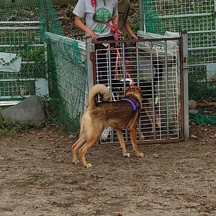 A3c0bd3c 3f4b 4fa1 bb33 a55dc3da414c 1694307078943