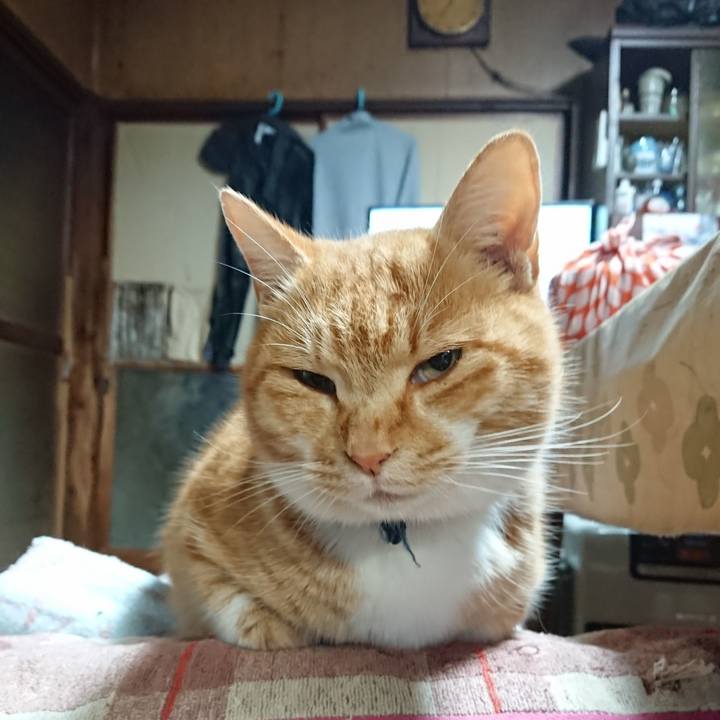 A3c0c400 f458 4c6a bfa7 d7e82d543804 1607293848800