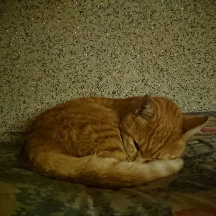 A3c0e0c5 3b55 4507 90c3 e0a4116ab9ba 1602759924148