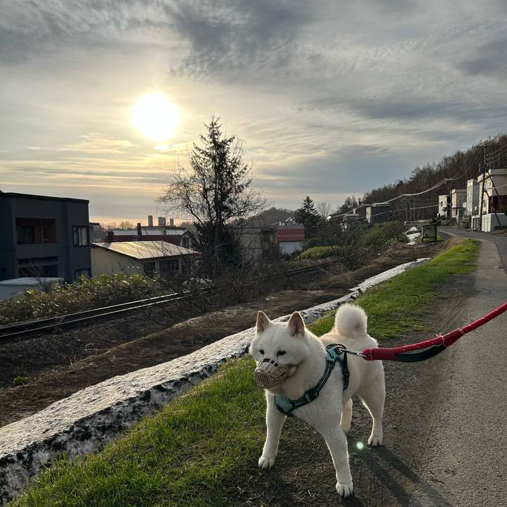 A3c0e101 c2a3 4e1e 84c3 1bffb00413cc 1745269763463