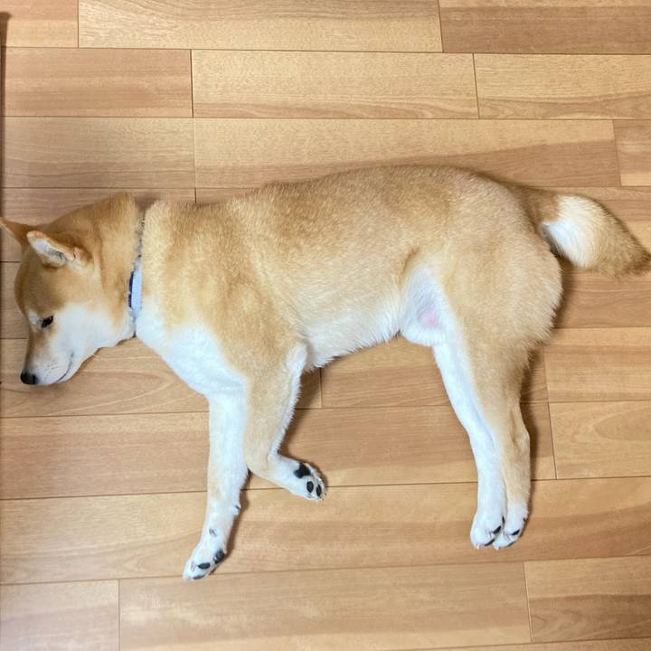 A3c0e8c4 f67e 4db8 8dfb 181090302646 1675165602926