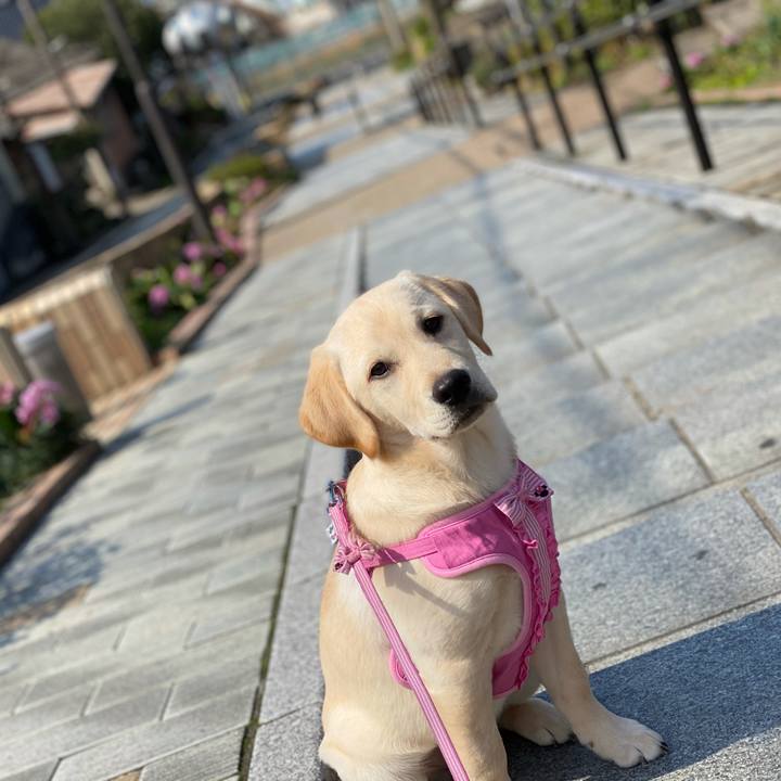 A3c0ee78 5db4 4700 948a af72f97ebbed 1634604784838