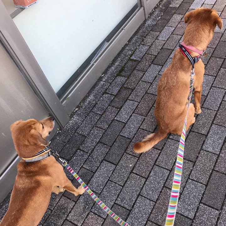 A3c10e1e a855 4f0d 85ee 71db5f74ae67 1538460095745