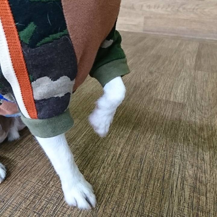 A3c11129 492b 41ac 9d53 61079c821e72 1544851706588