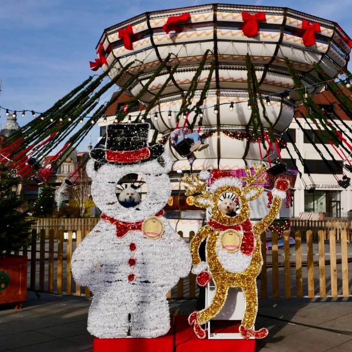 A3c119f9 cbca 482c 87d6 2e79f74dfdb4 1767348052862