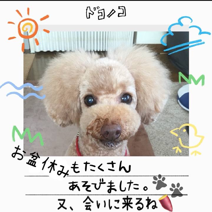 A3c11b06 a779 41cd 88c3 60983588c1c2 1755386295562