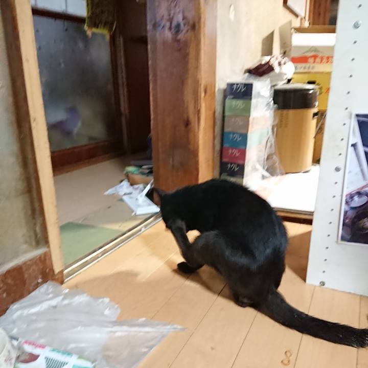 A3c128f5 6f14 463b a665 5a5edd9f22da 1627246295102