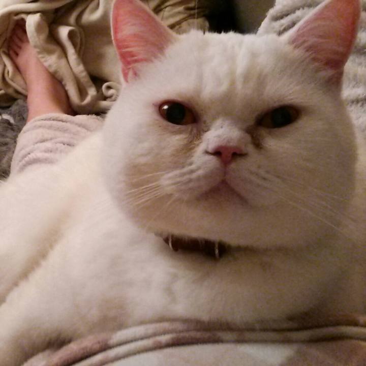 A3c175fe 8c43 441f 9a2e a4682e2568d4 1521270841482