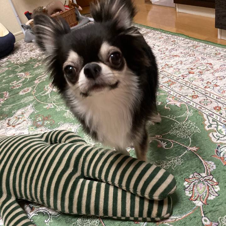 A3c19ecf efd1 47e2 9483 30ae3dfcb484 1659191726556