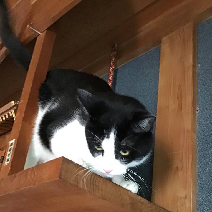 A3c1ab46 cedb 4155 a204 5d2905239bbe 1753742393967