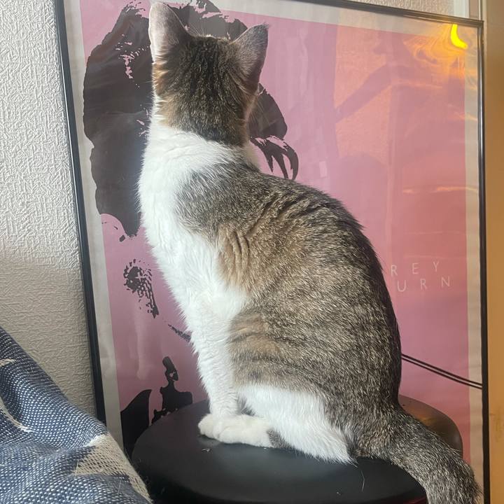 A3c1ba1c 8dfe 433b 98d7 9a6aff92d68e 1629000206846