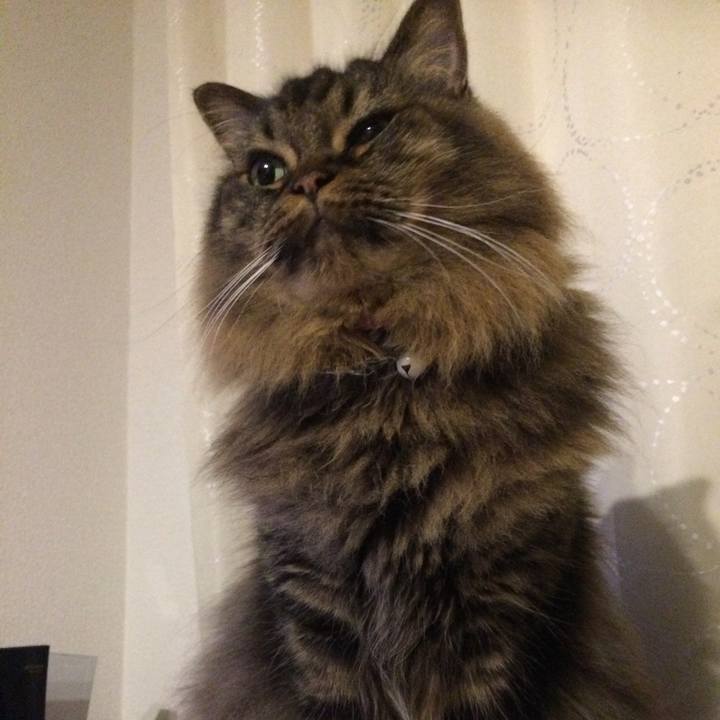 A3c1c7af 2308 41e5 b800 8e446ec0b06b 1531222551615