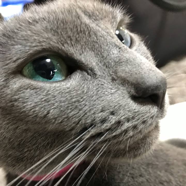 A3c1fbc3 a5bc 4237 aeed 1c5c4d88effb 1551478737637