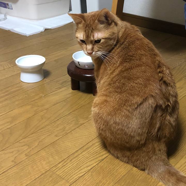 A3c23031 72e4 4406 a867 250c5c19565c 1650454425964