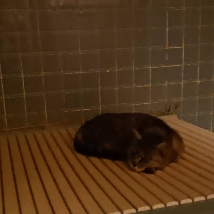 A3c2655e 6681 4b36 b3a3 617913d7591b 1572949742080