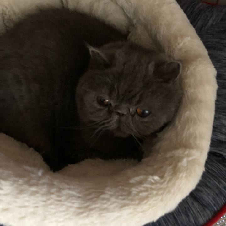 A3c26703 eb3c 45c2 a270 f80b9d3b02ac 1546137764175