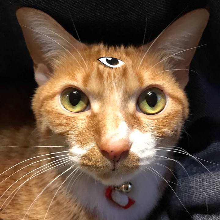 A3c269f4 388d 42c4 a2e2 5b1e1f89683f 1552901627579