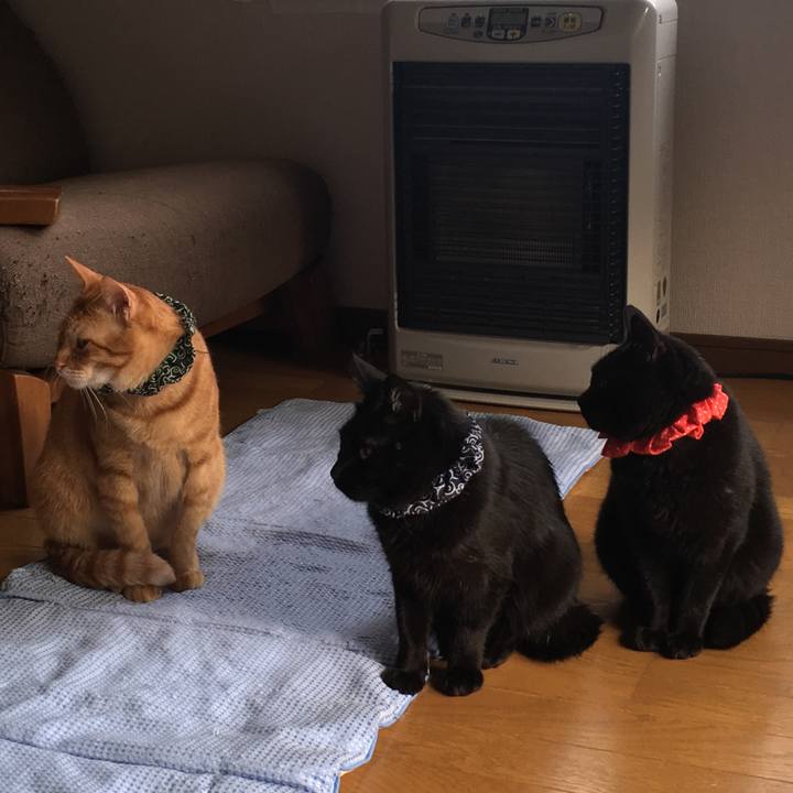 A3c27ac5 0d09 4a78 adcb 423a6f51c9c5 1537744898196