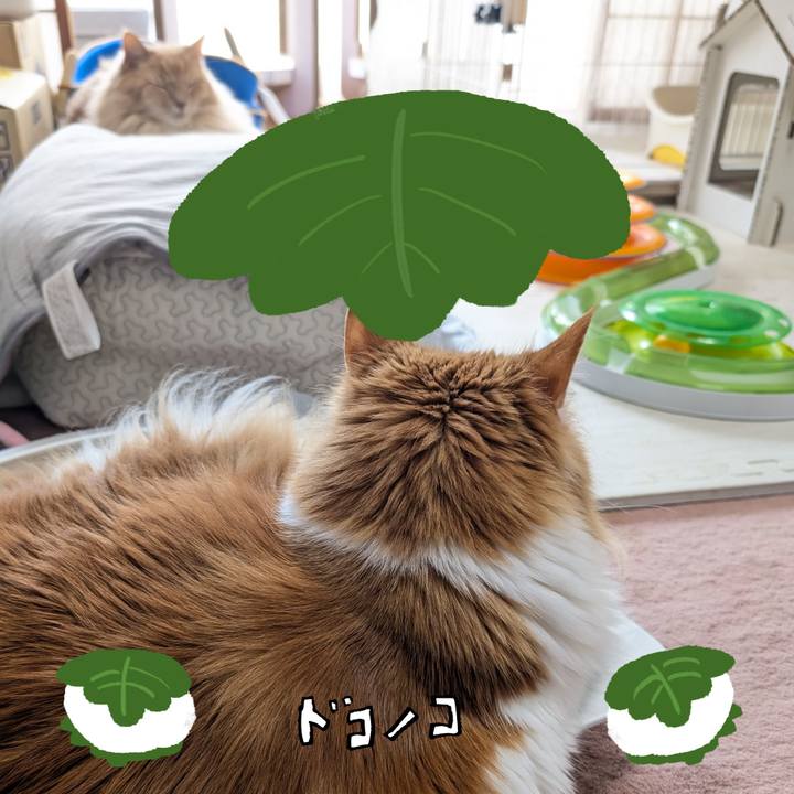 A3c28b86 6e6f 430d 838a 40fb7c13e7fc 1749433986756