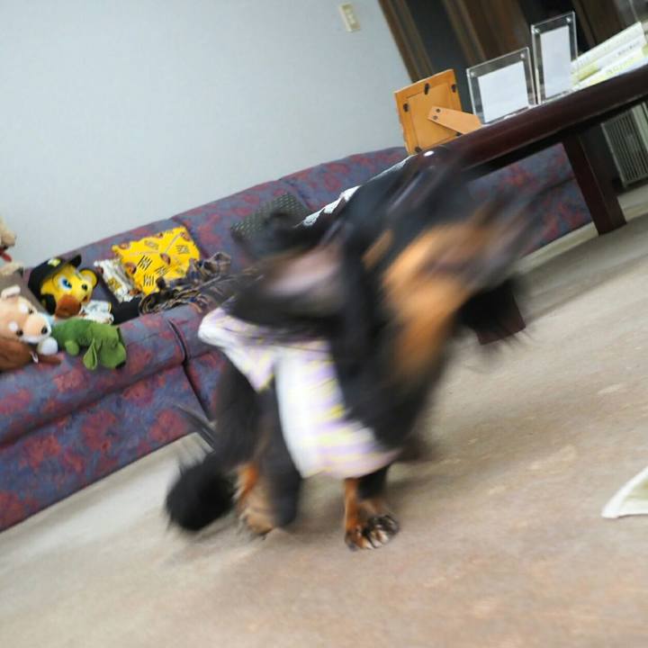 A3c2bbfa f40c 448f b26b 20a4cdd90c57 1567650389596