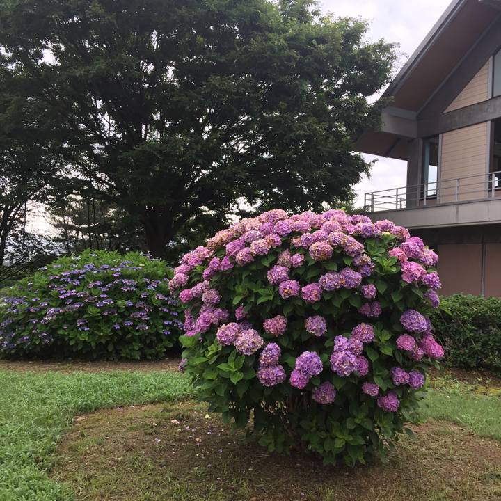 A3c2da14 9433 4039 9c48 5fa041af70b7 1594724771659