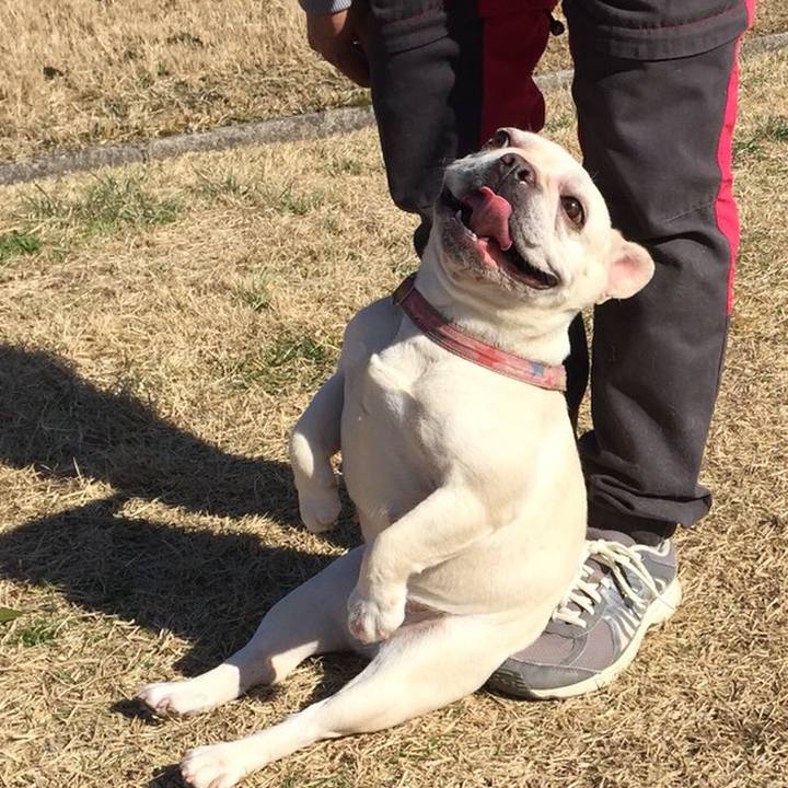 A3c33907 3420 4f38 96f5 2b625b9ccc47 1520201640436