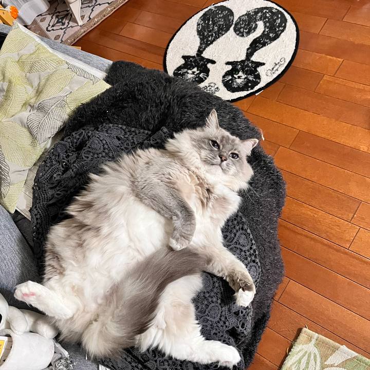 A3c380e1 31a5 4d93 9f61 8c8d10a46d70 1676764051430