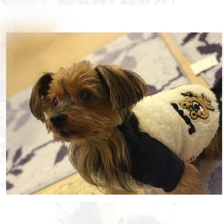 A3c3a10a 1de2 4f3a a883 c9cea639ccb5 1507845508202