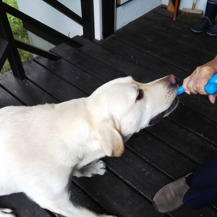 A3c3fc24 538f 4745 ae83 5f771269c709 1534065548476