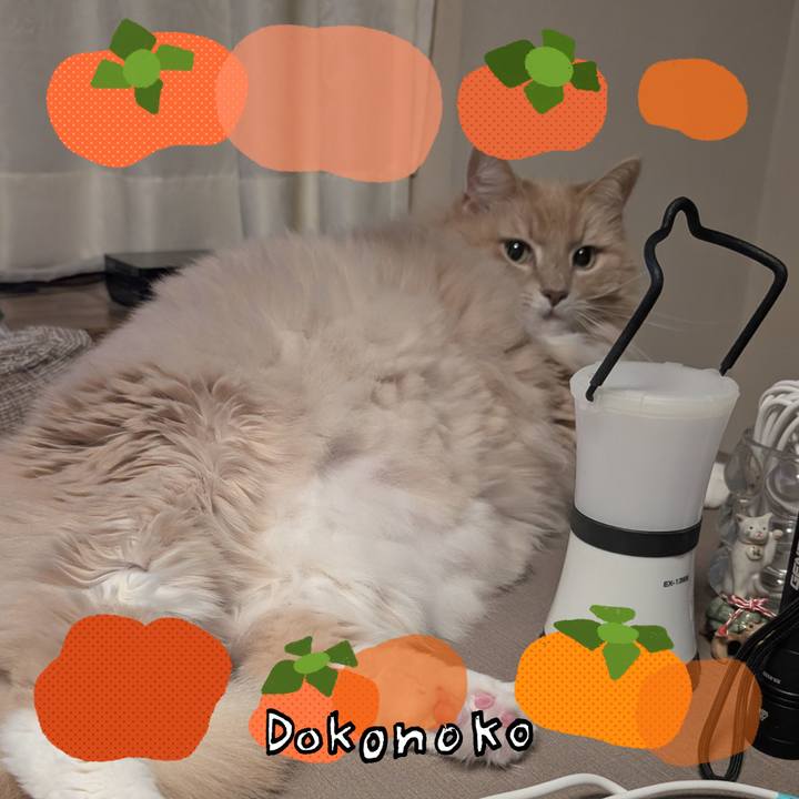 A3c48eec c551 4794 a31d 21e8a85c8fe6 1761911633661