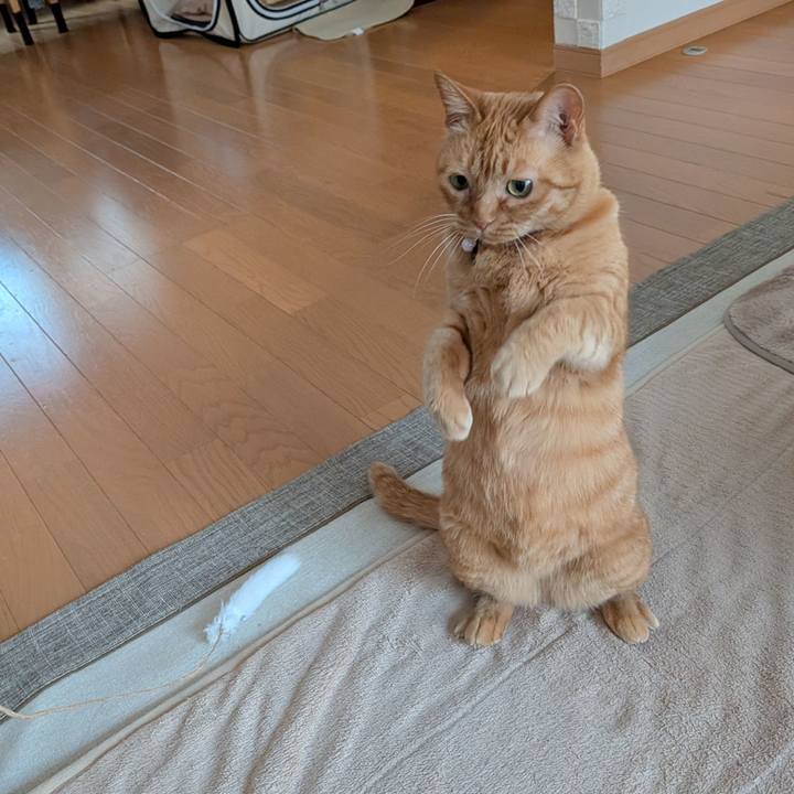 A3c4ac44 e12e 4b14 987e 192bc6f88c42 1774562800264