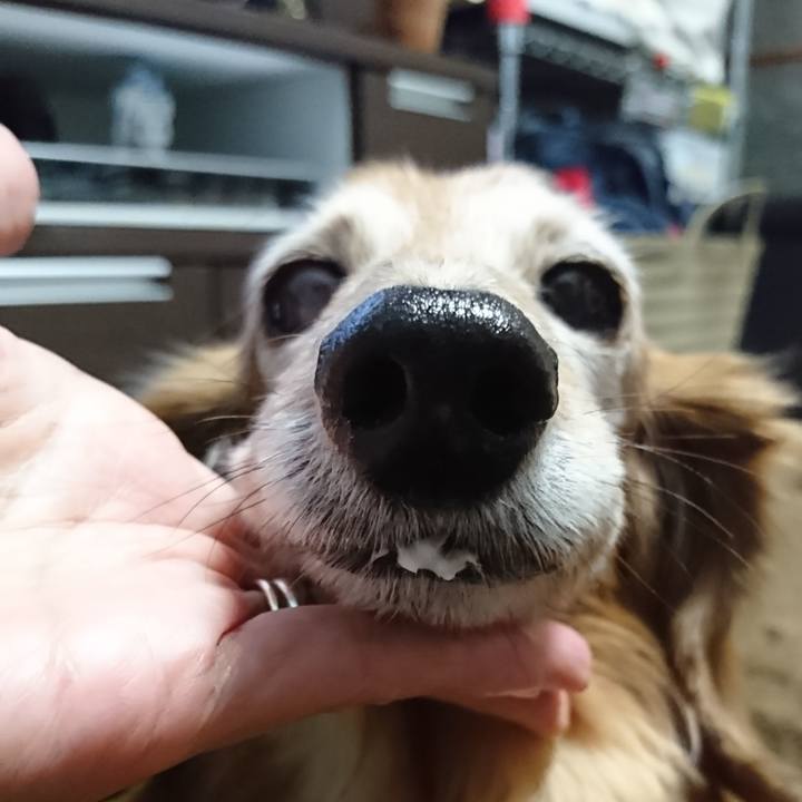 A3c4e997 a98a 4970 809a f57828e3f1cf 1583605185545