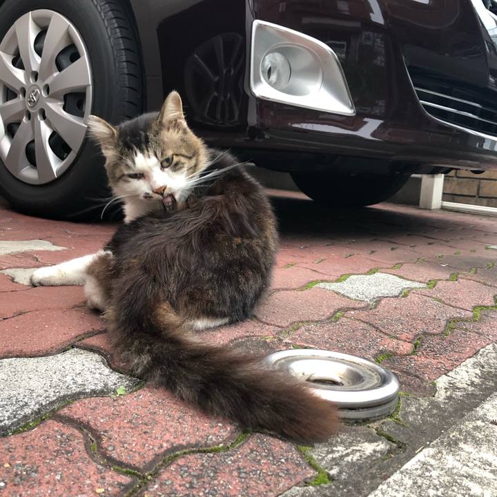 A3c515b7 10ef 4d10 84e9 4426656fcf90 1572729534180