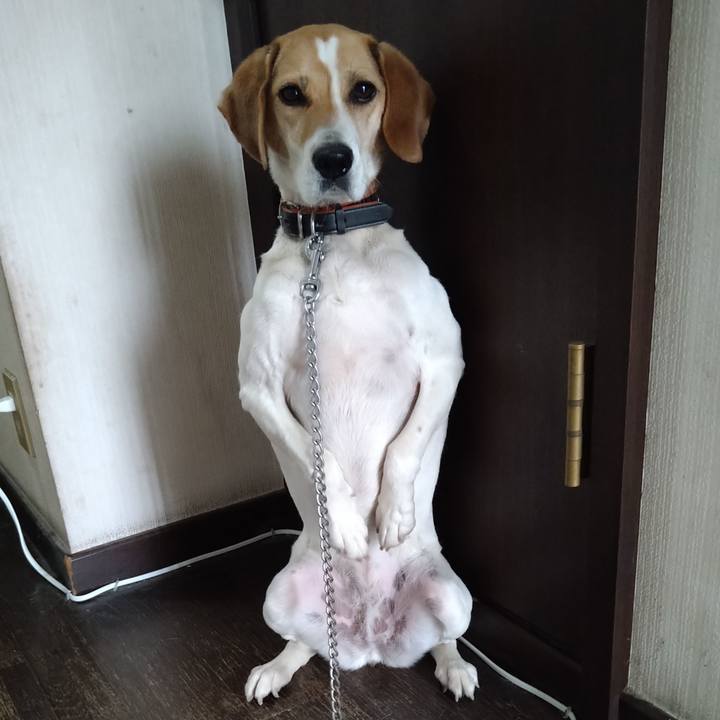 A3c51887 2c03 403c a070 44733823649e 1622043100506