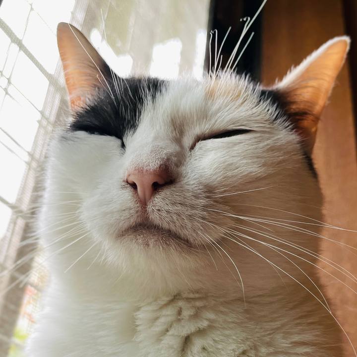 A3c52429 41ce 4c32 8540 fb67b028e194 1656381810424