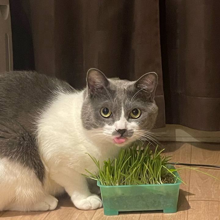 A3c5434b c054 4931 8589 223e1b8a6447 1697805423517