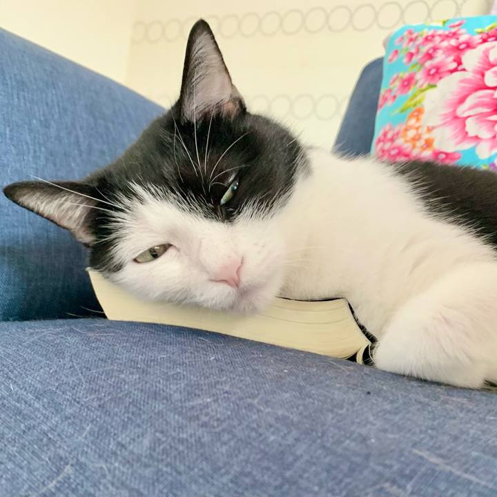 A3c550a3 e764 444b 9b0d 0b894237a8ed 1626220625224