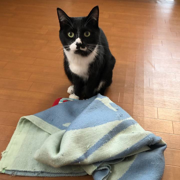 A3c5a193 3408 4d72 957e 276c5fec3473 1543488316662