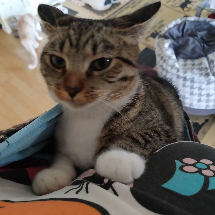 A3c5e152 714f 4d71 805a 9bd4bd03988e 1636851464856